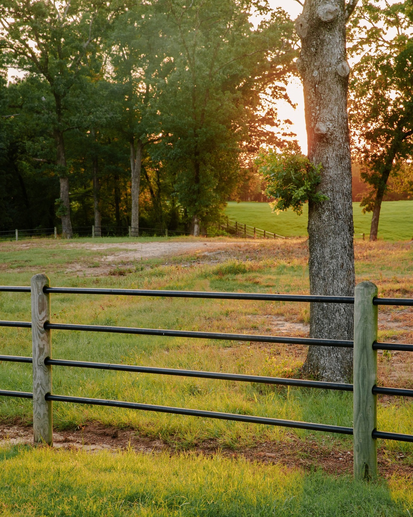 Priefert Ponderosa Fence Web.jpg
